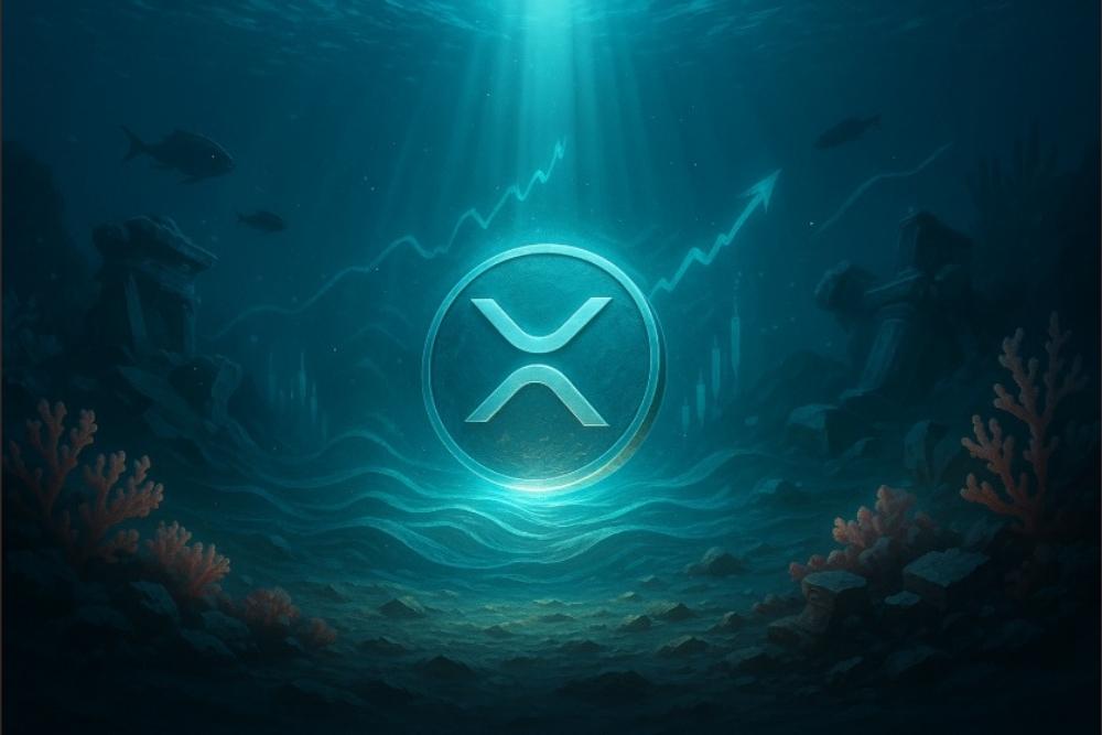 专家概述可能推动XRP价格达到三位数的因素