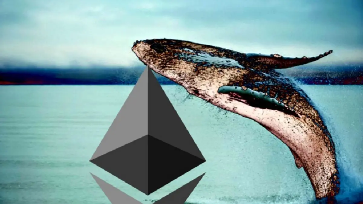 揭秘 ETH 持仓榜单：2025 年谁拥有最多的 ETH？