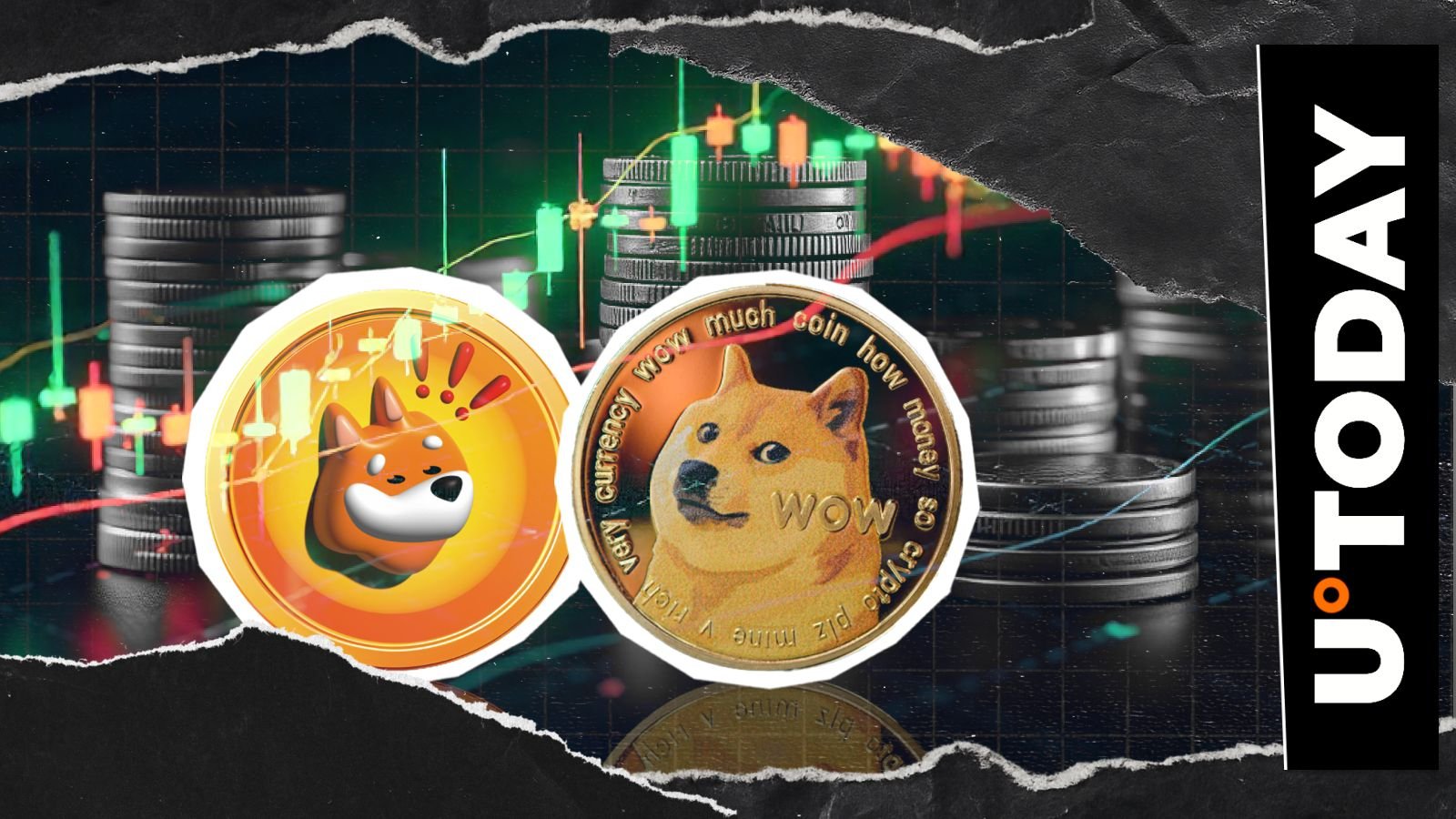 DOGE、BONK，还有谁？今日热门模因币领涨市场