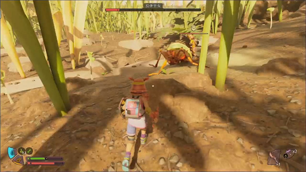 禁闭求生2投弹甲虫位置介绍说明