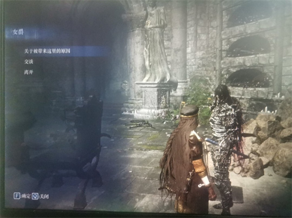 艾尔登法环黑夜君临复仇者追忆支线任务攻略