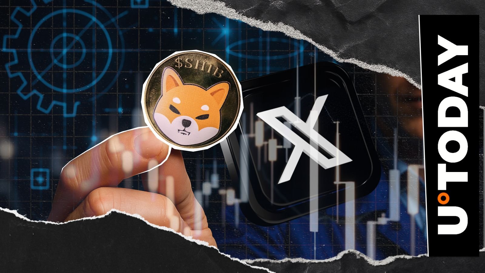 柴犬币开发者在X平台打破沉默 阐述去中心化观点