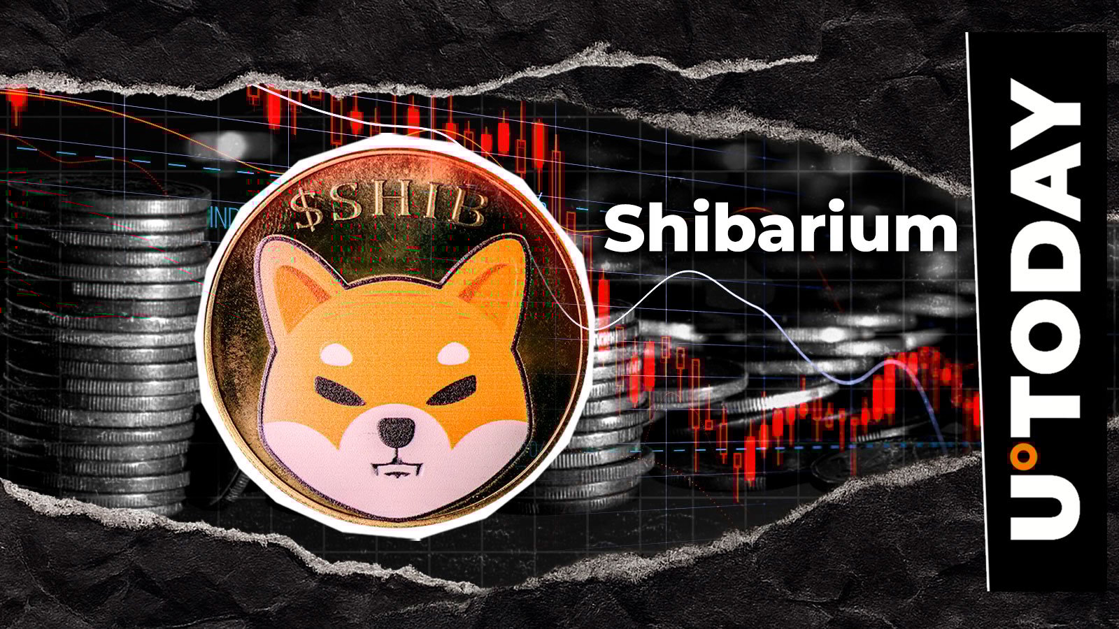 Shibarium交易量暴跌99%，不祥趋势会在"上涨十月"逆转吗？