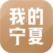 宁夏政务服务网(银川网上市民大厅)