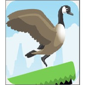 Jump Goose Jump!