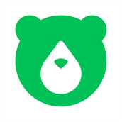 小熊油耗报告