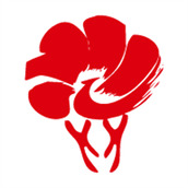 放新办软件