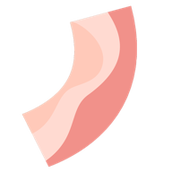 Bacon(培根配万物)