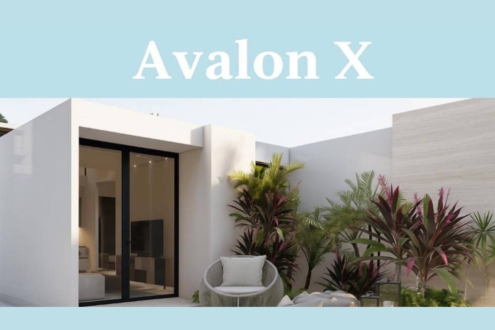 寻找最佳加密货币以获得最高回报：Avalon X、Ripple、Stellar 和 Cardano