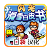 闪光滑雪白皮书