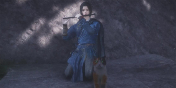 燕云十六声毛手聊天对话攻略分享