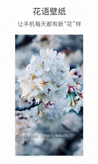 植物识别app(形色)