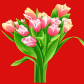 花儿朵朵消