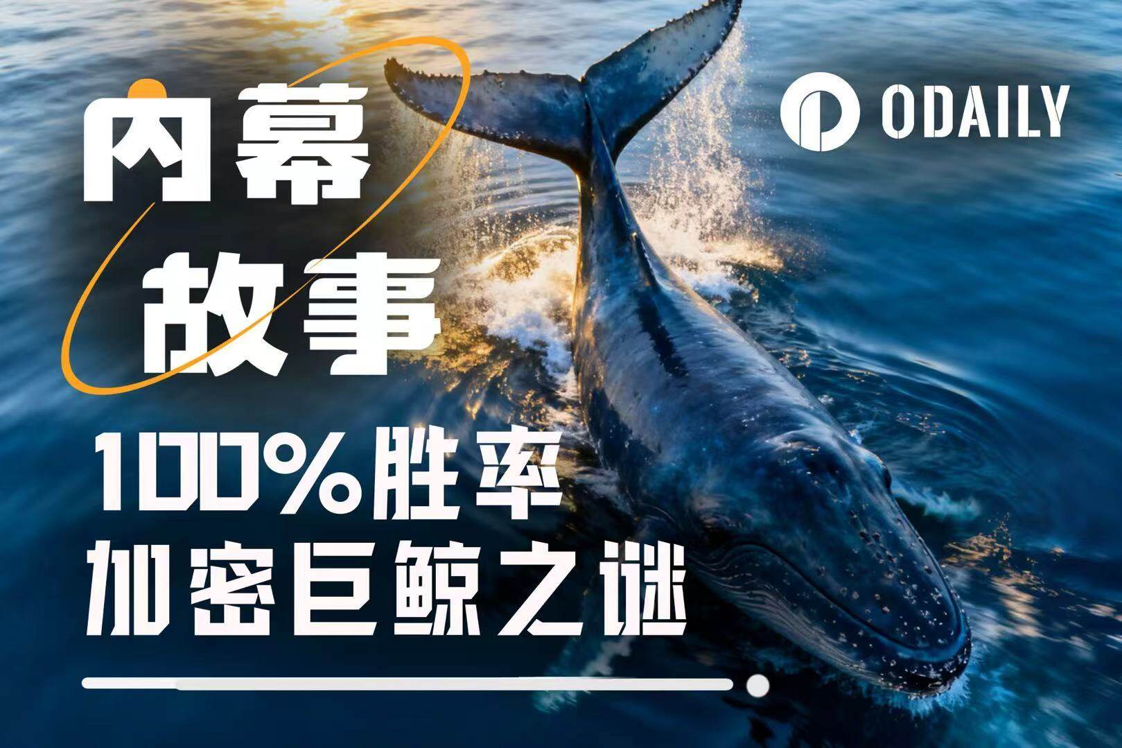 100%胜率巨鲸是如何炼成的？揭秘“特朗普派内幕人士”真实身份