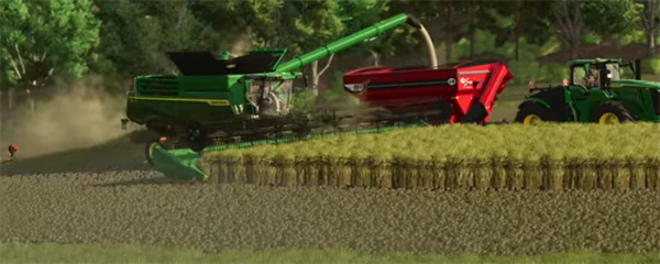 模拟农场25水稻种植方法及准备条件