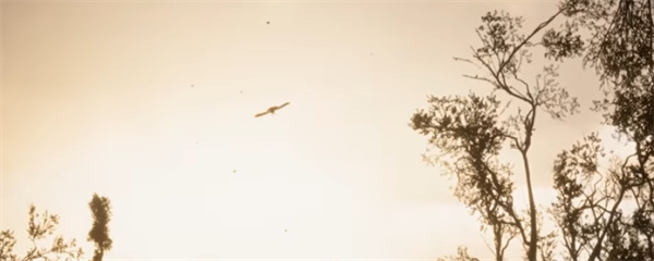 潜行者2切尔诺贝利之心背包容量增加方法