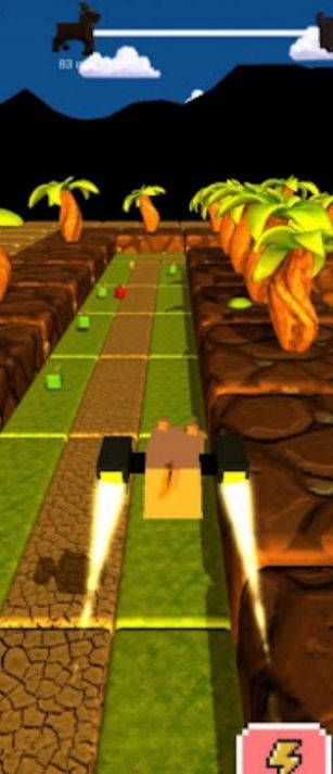 小猪狂奔Gruntn run