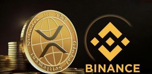 市场定位:DeFi热土与跨境支付专家的分野