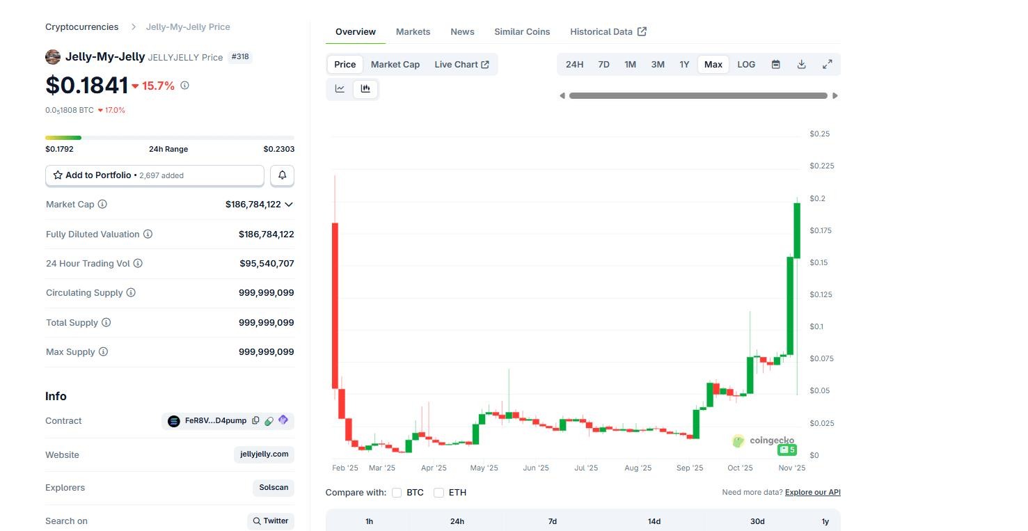 发生了什么?JELLYJELLY为什么倒下了?