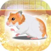 Hamster(治愈的仓鼠养成)
