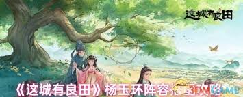 这城有良田杨玉环如何配队