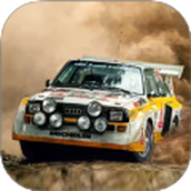 赛车越野拉力赛