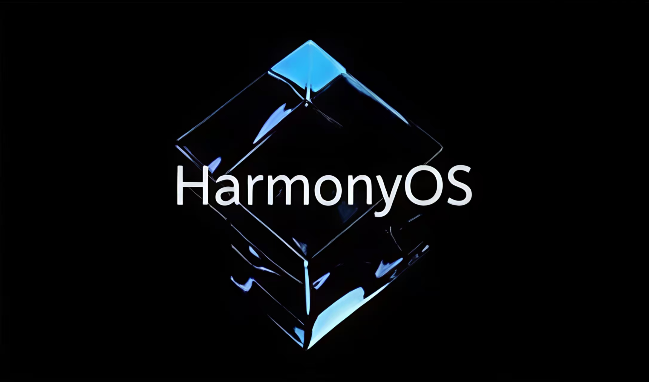 1764134052450092.jpg 1764134052450092.jpg