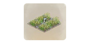 道天录宗门怎么升级 快速提升宗门等级攻略