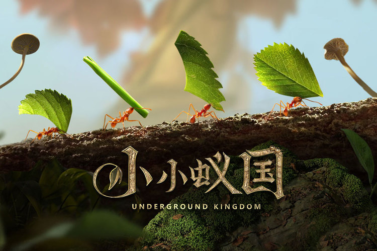 小小蚁国最强蚂蚁排名 小小蚁国(平民)最强蚂蚁阵容排名