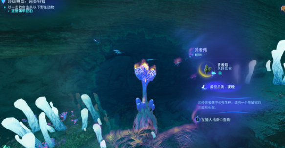 阿凡达潘多拉边境贤者菇在哪 卓越贤者菇位置分享