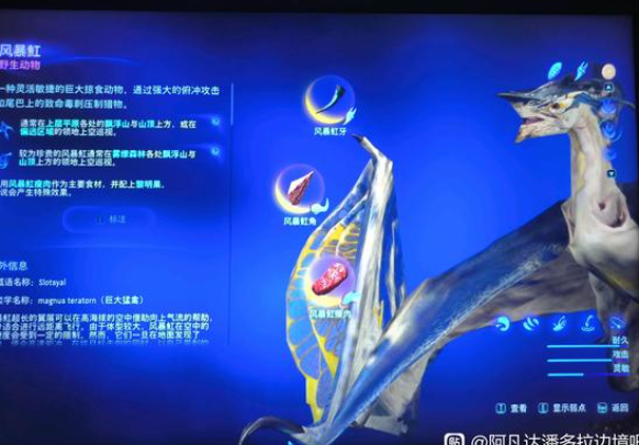 阿凡达潘多拉边境风暴魟刷新位置攻略