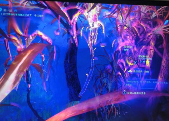 阿凡达潘多拉边境黎光树枝在哪 黎光树枝位置介绍