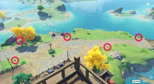 原神霓裳花在哪采集 原神霓裳花(商人)多久刷新一次