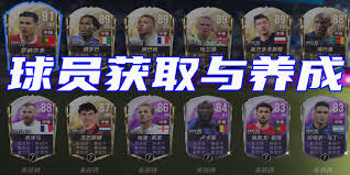 绿茵信仰哪些位置有TOP球员