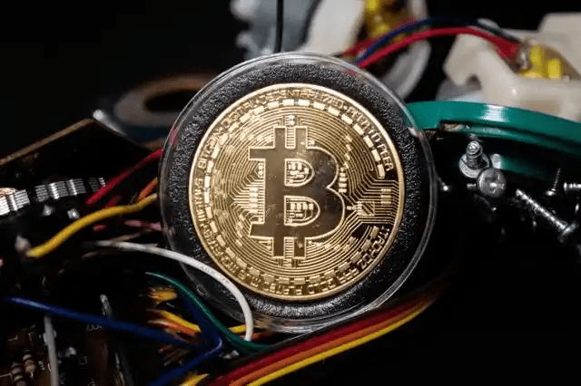 Token Cat董事会通过10亿美元加密资产投资计划-萨夫·佩尔西科出任首席运营官