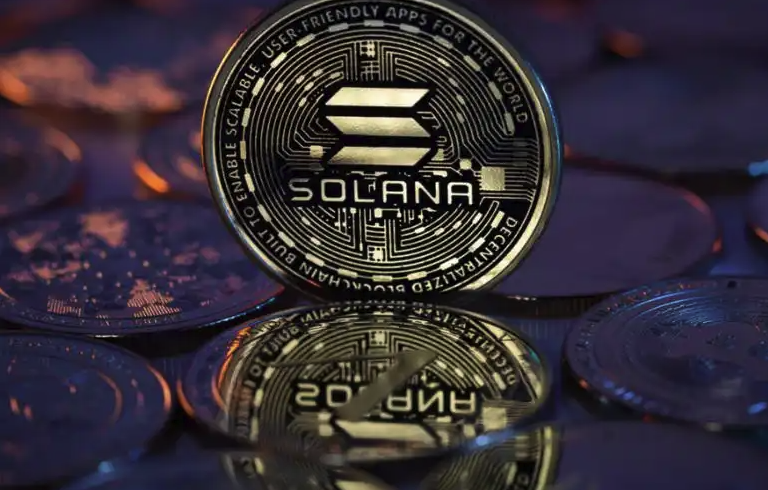 SOL代币经济与投资风险入门解析