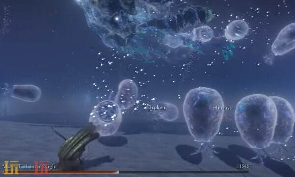 艾尔登法环黑夜降临玛利斯怎么打 黑夜王征兆战斗攻略