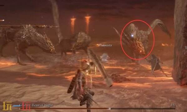 黑夜野兽格拉狄乌斯打法攻略详解 艾尔登法环黑夜君临黑夜王boss战过关攻略