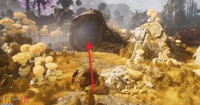 光与影33号远征队绝处逢生：绝处逢生符文效果及获取方式详解