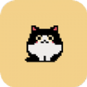 铲屎官给我吃的