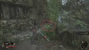 明末渊虚之羽熊猫商人在哪