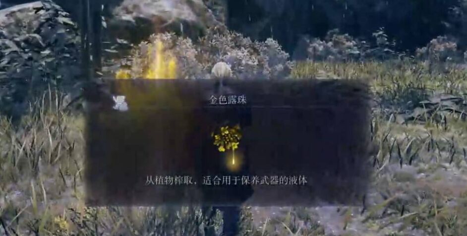 艾尔登法环黑夜君临女爵剧情任务流程攻略