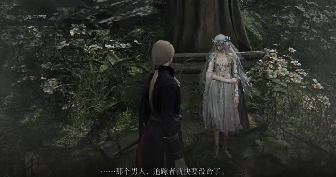 艾尔登法环黑夜君临女爵剧情任务流程攻略