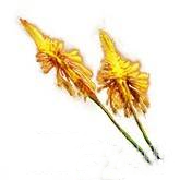 艾尔登法环黑夜君临受赐福的花 执行者专属受赐福的花获取攻略