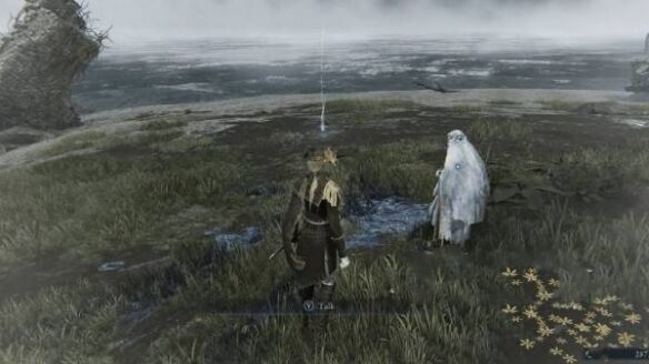 艾尔登法环黑夜君临遗物获取方式：如何获得遗物头冠的徽章