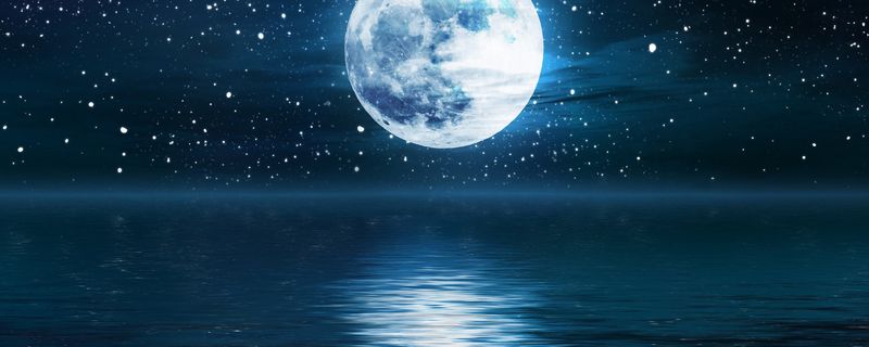 六便士和月亮是什么梗 - 六便士和月亮是什么梗