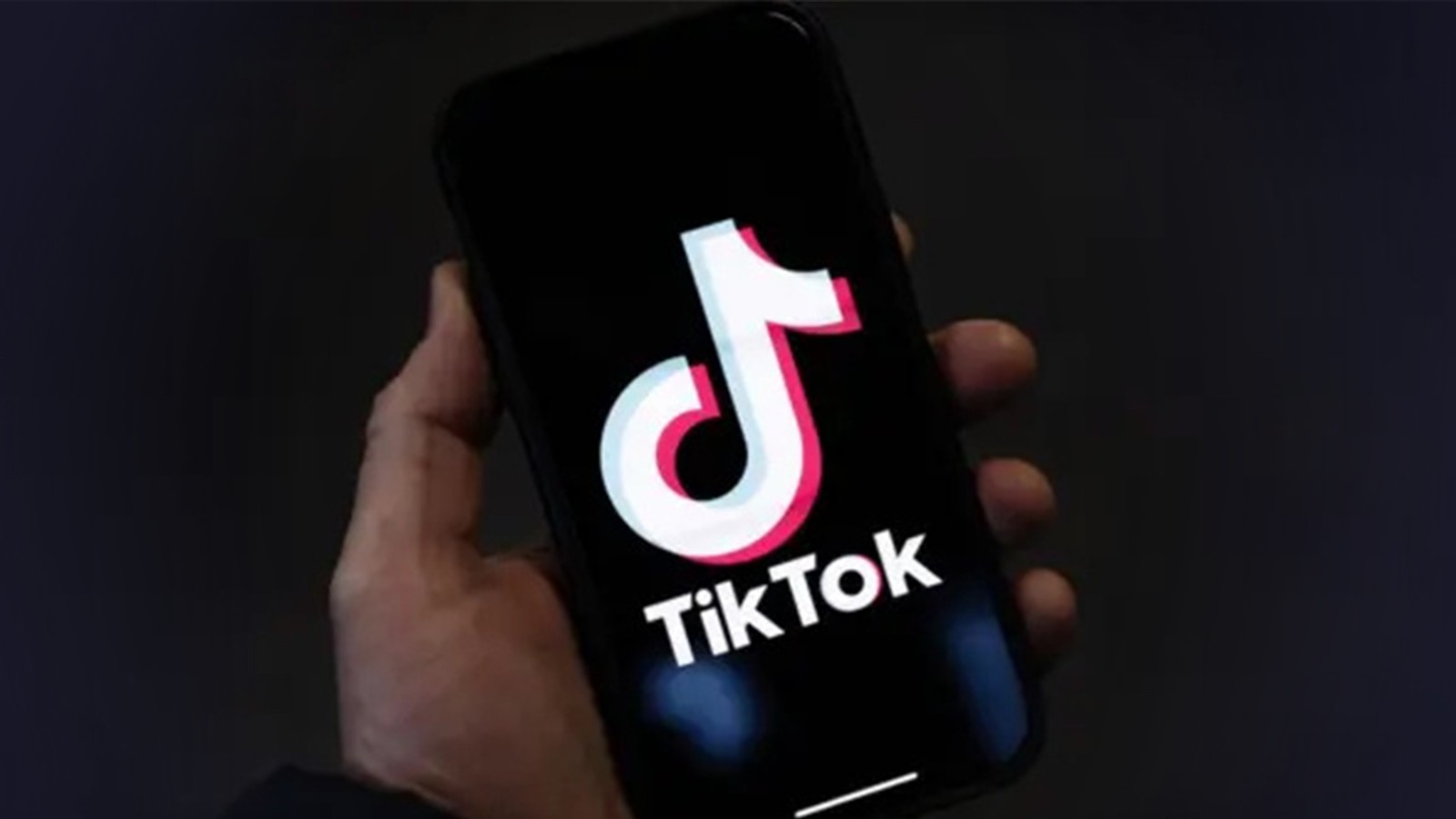 TikTok免安装版入口-TikTok在线高清看视频入口