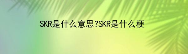 SKR是什么意思-SKR是什么梗科普