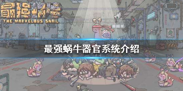 最强蜗牛器官攻略