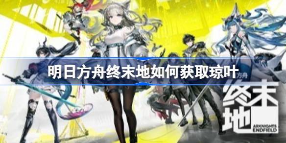 明日方舟终末地琼叶参采集点位说明一览